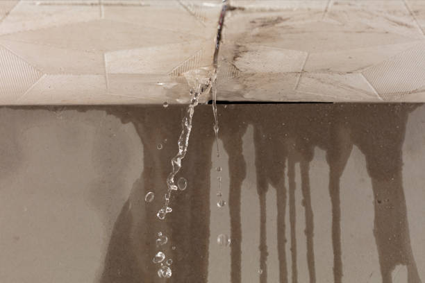 Professional Flood Damage Cleanup technician working in New York, NY